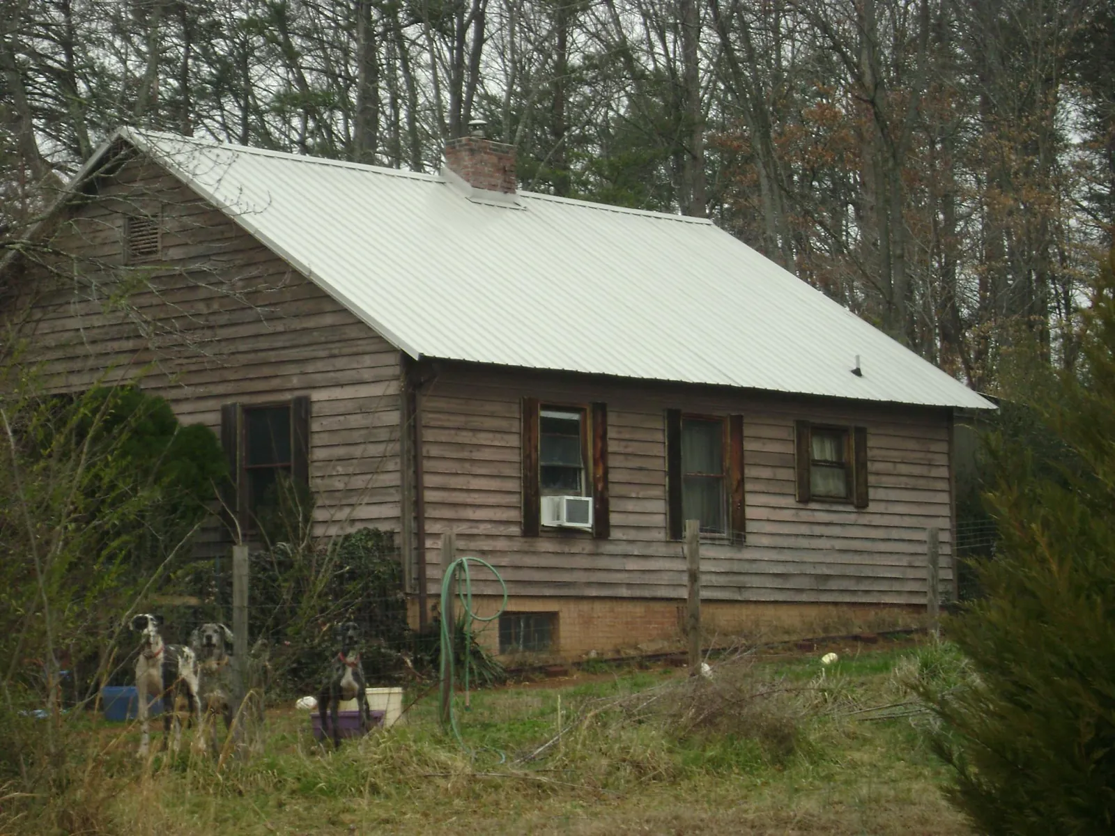 White metal roof on an old wood sided farmhouse, from a Asphalt Shingle Roof Repair job in Utica
